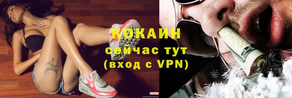 PSILOCYBIN Елабуга