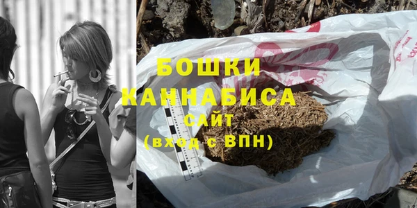 PSILOCYBIN Елабуга