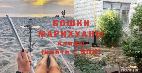 PSILOCYBIN Елабуга