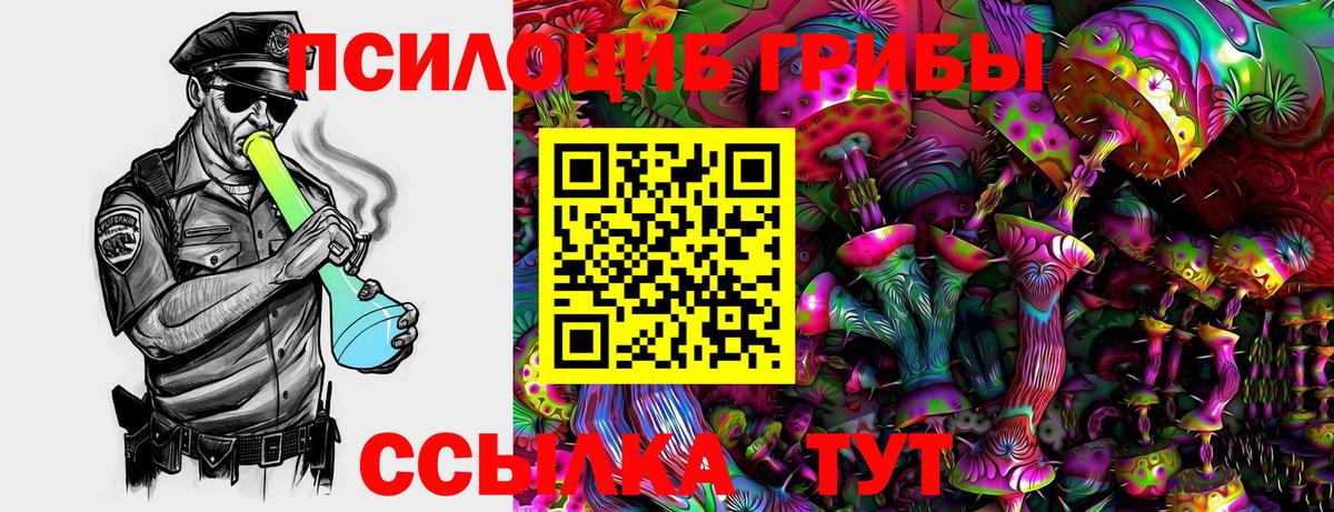 Псилоцибиновые грибы Psilocybe  Вход с VPN  Знаменск 